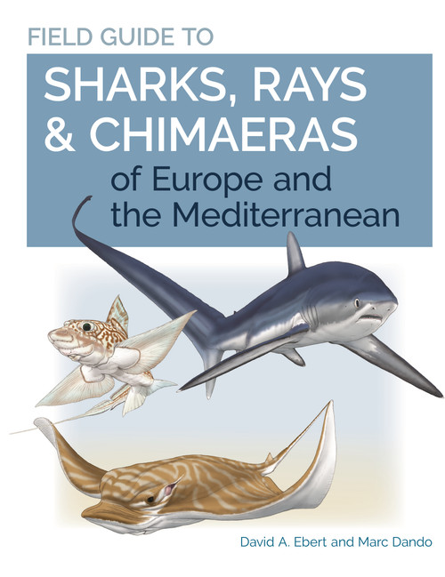 Field Guide to Sharks, Rays & Chimaeras of Europe and the Mediterranean by David A. Ebert, Marc Dando, 9780691205984