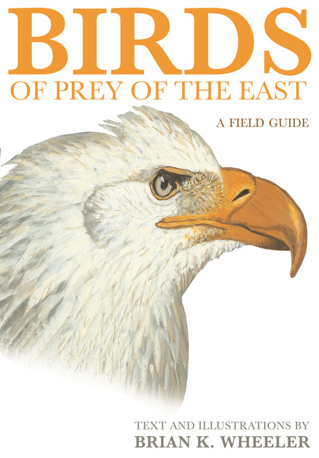 Birds of Prey of the East (A Field Guide) by Brian K. Wheeler, 9780691117065
