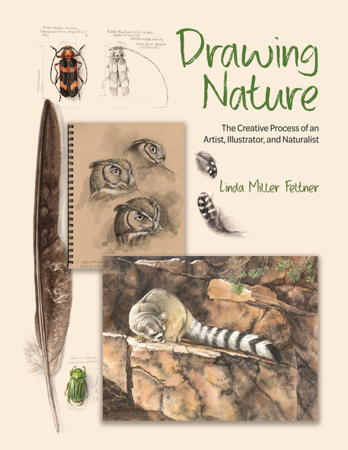 Drawing Nature (The Creative Process of an Artist, Illustrator, and Naturalist) by Linda Miller Feltner, 9780691255385