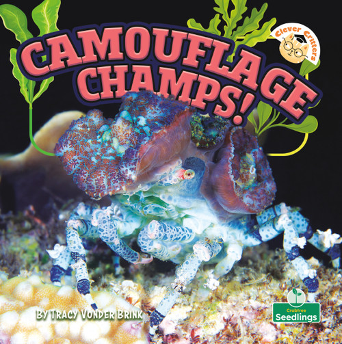 Camouflage Champs! by Tracy Vonder Brink, 9781039881099