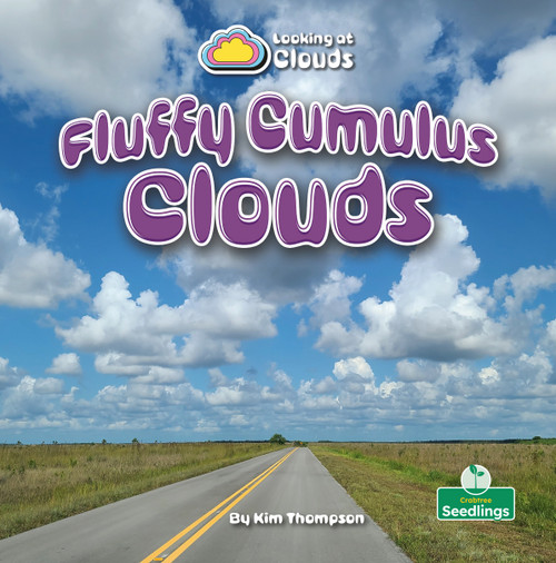 Fluffy Cumulus Clouds - 9781039884847 by Kim Thompson, 9781039884847