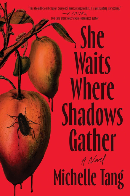 She Waits Where Shadows Gather (A Novel) by Michelle Tang, 9781464251047