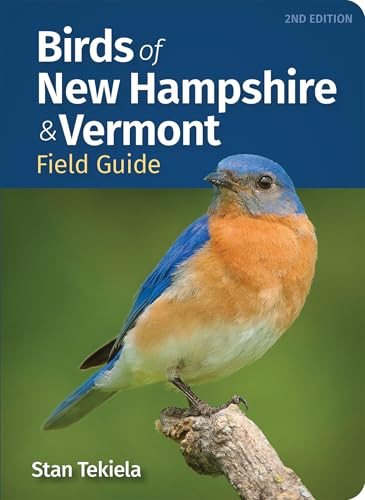 Birds of New Hampshire & Vermont Field Guide (Miniature Edition) - 9781647556273 by Stan Tekiela, 9781647556273