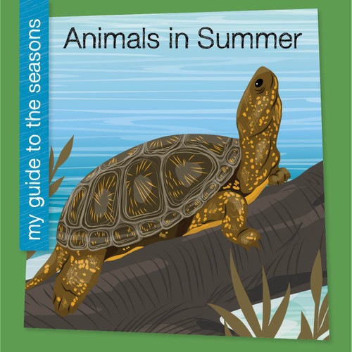Animals in Summer by Rebecca Felix, 9781668972595