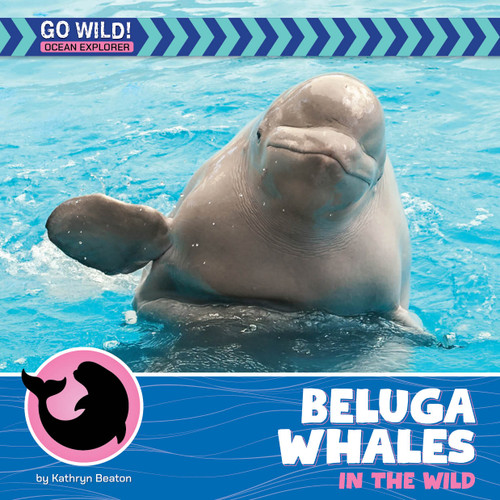 Beluga Whales in the Wild by Kathryn Beaton, 9781668972748