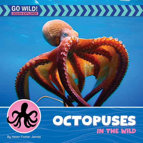 Octopuses in the Wild by Helen Foster James, 9781668972809