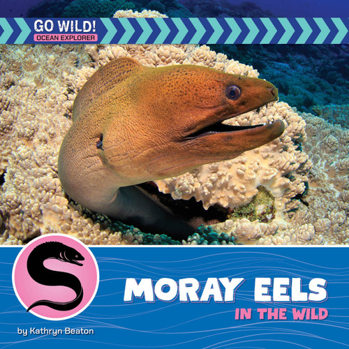 Moray Eels in the Wild - 9781668974179 by Kathryn Beaton, 9781668974179