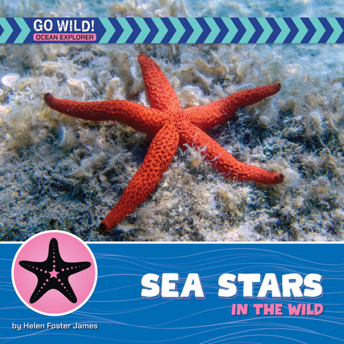 Sea Stars in the Wild - 9781668974223 by Helen Foster James, 9781668974223