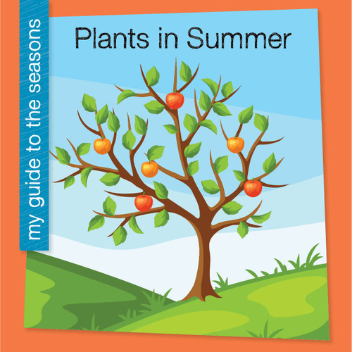 Plants in Summer - 9781668973967 by Rebecca Felix, 9781668973967