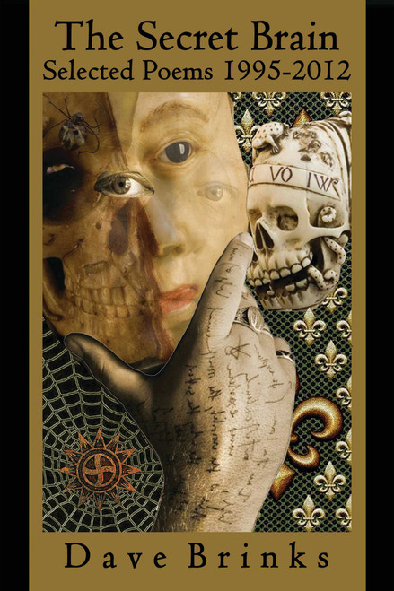 The Secret Brain (Selected Poems 1995-2012) by Dave Brinks, Andrei Codrescu, 9780985612214