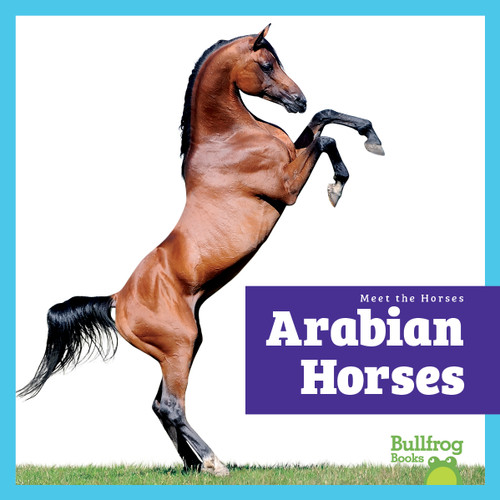 Arabian Horses - 9798892139434 - 9798892139434 by Rachel Grack, N/A, 9798892139434