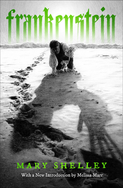 Frankenstein - 9798337202365 by Mary Shelley, Melissa Marr, Amanda Shaffer, 9798337202365