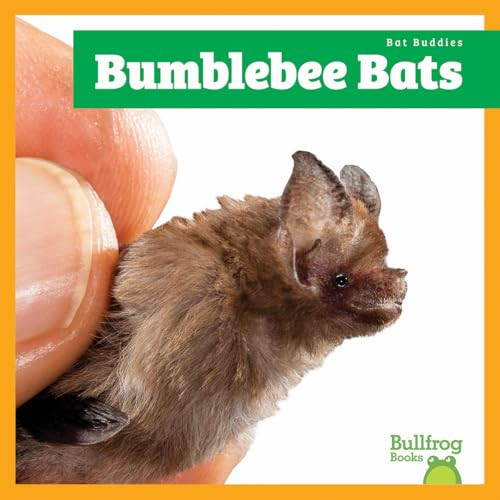 Bumblebee Bats - 9798896621911 by Jenna Lee Gleisner, 9798896621911