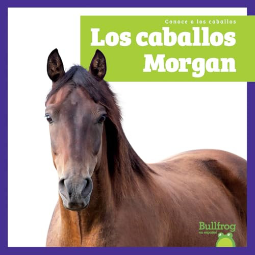 Los caballos Morgan (Morgan Horses) (Spanish Edition) by Rachel Grack, 9798896624332
