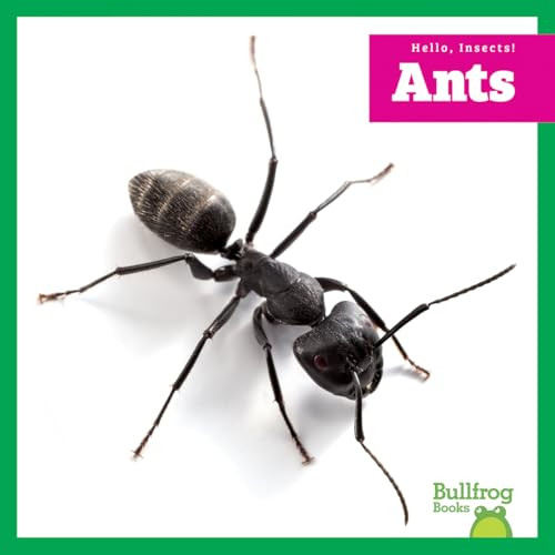 Ants - 9798896623854 - 9798896623854 by Adeline J. Zimmerman, N/A