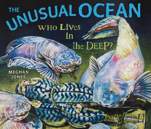 The Unusual Ocean (Who Lives in the Deep?) by Meghan Jones, Meghan Jones, 9781493091027