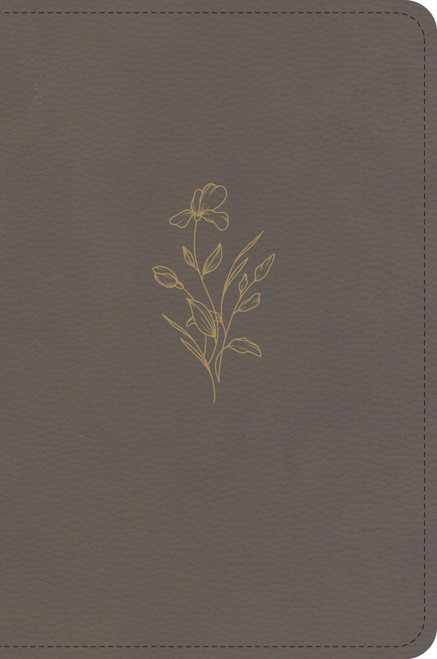 KJV Large Print Compact Reference Bible, Clay LeatherTouch (Miniature Edition) by Holman Bible Publishers, 9798384546122