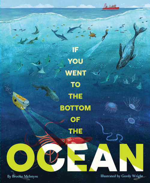 If You Went to the Bottom of the Ocean by Brooke McIntyre, Gordy Wright, 9781797226514