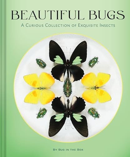 Beautiful Bugs (A Curious Collection of Exquisite Insects) by Bug in the Box, 9781797243047