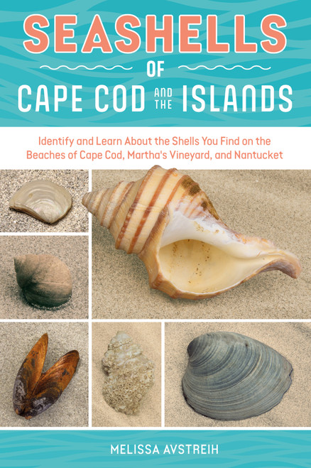 Seashells of Cape Cod and the Islands (Identify and Learn About the Shells You Find on the Beaches of Cape Cod, Martha's Vineyard, and Nantucket) by Melissa Avstreih, 9780764371134
