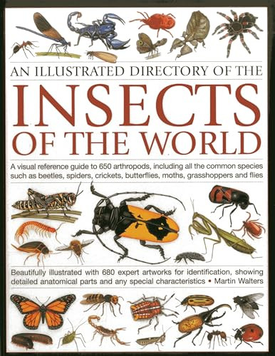 An Illustrated Directory of the Insects of the World by Martin Walters, 9781780192123