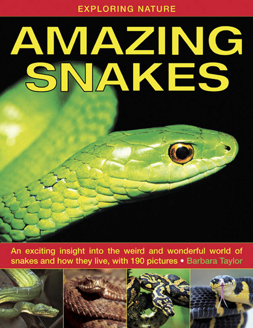 Exploring Nature: Amazing Snakes (An Exciting Insight Into the Weird and Wonderful World of Snakes and How They Live, with 190 Pictures) by Barbara Taylor, 9781843227366