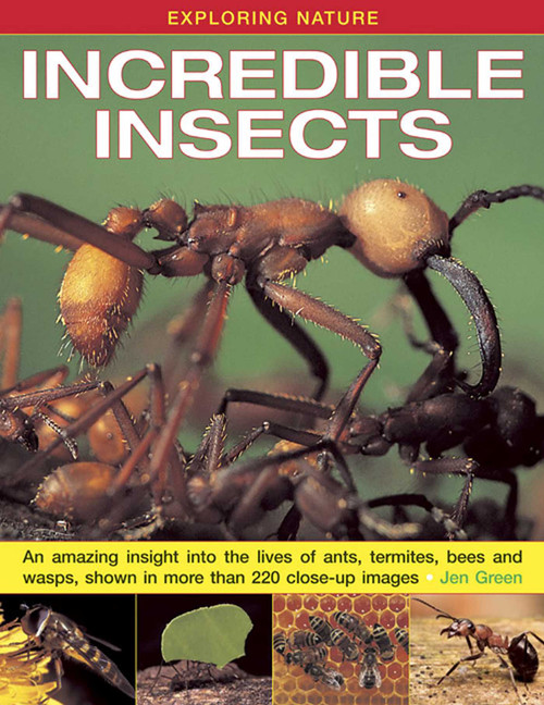 Exploring Nature: Incredible Insects (An Amazing Insight Into the Lives of Ants, Termites, Bees and Wasps, Shown in More Than 220 Close-Up Images) by Jen Green, 9781843229117
