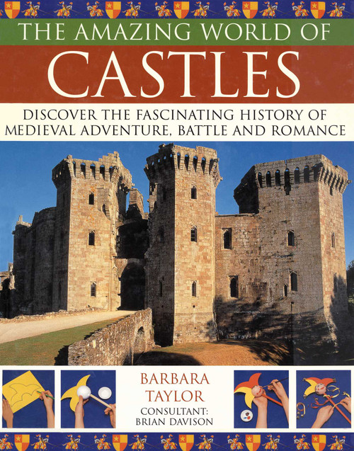 Amazing World of Castles by Barbara Taylor, 9781844765997