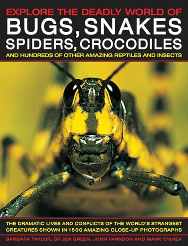 Explore the Deadly World of Bugs, Snakes, Spiders & Crocodiles by Barbara Taylor, John Farndon, Jen Green, Mark O'Shea, 9781846812361
