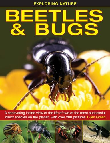 Exploring Nature: Beetles & Bugs by Jen Green, 9781861473660