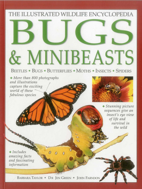 Illustrated Wildlife Encyclopedia: Bugs & Minibeasts (Beetles, Bugs, Butterflies, Moths, Insects, Spiders) by Barbara Taylor, Jen Green, John Farndon, 9781861474223