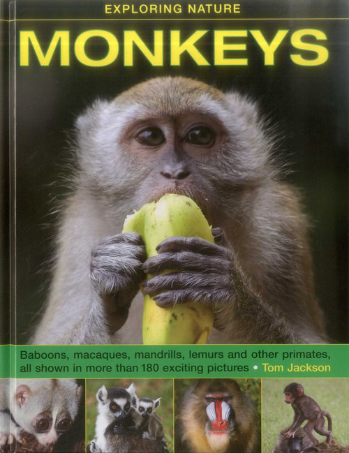 Exploring Nature: Monkeys (Baboons, Macaques, Mandrills, Lemurs And Other Primates, All Shown In More Than 180 Enticing Photographs) by Tom Jackson, 9781861474971