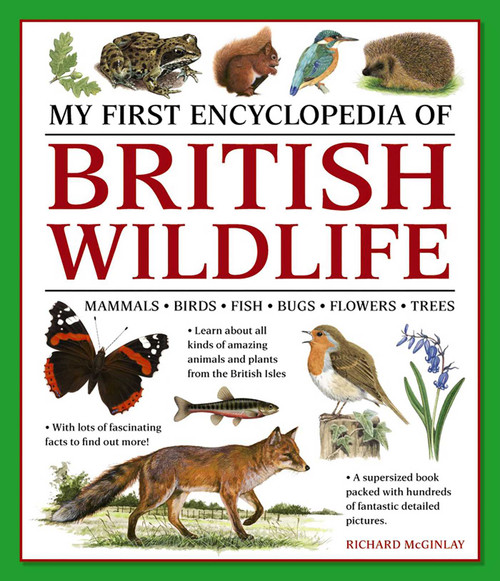 My First Encylopedia of British Wildlife (Mammals, Birds, Fish, Bugs, Flowers, Trees) by Richard McGinlay, 9781861478498