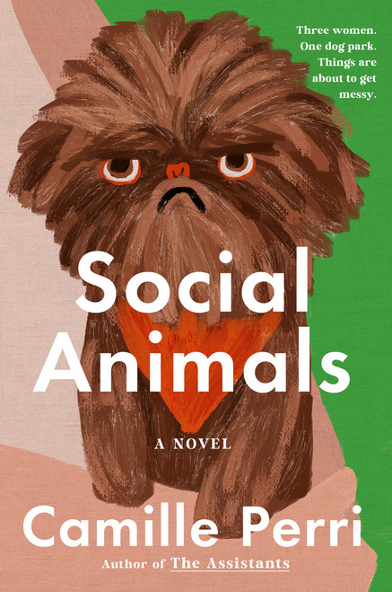 Social Animals by Camille Perri, 9798217181759