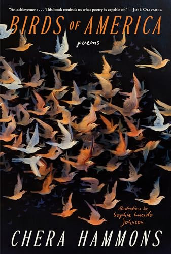 Birds of America (Poems) by Chera Hammons, Sophie Lucido Johnson, 9780593980033