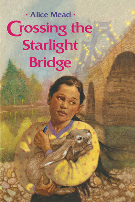Crossing the Starlight Bridge by Alice Mead, 9781416989646