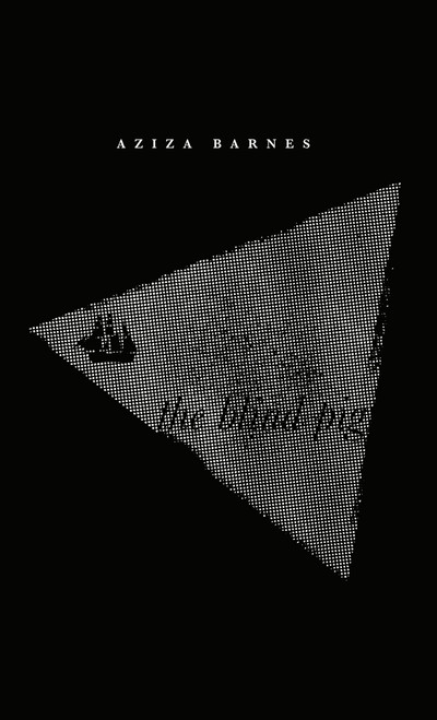 The Blind Pig by Aziza Barnes, 9781945649325