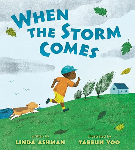 When the Storm Comes - 9798217239450 by Linda Ashman, Taeeun Yoo