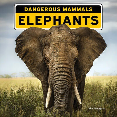 Elephants - 9781978577473 by Kim Thompson, 9781978577473