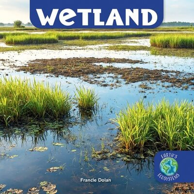 Wetland by Francie Dolan, 9781978577084