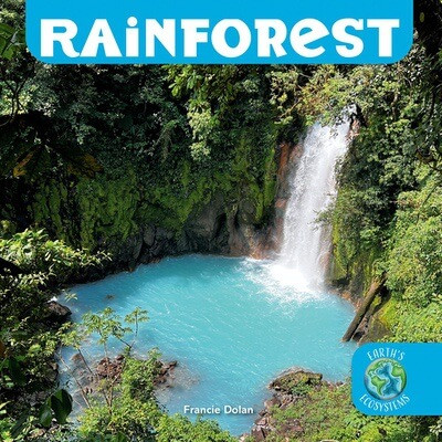 Rainforest - 9781978577046 by Francie Dolan, 9781978577046