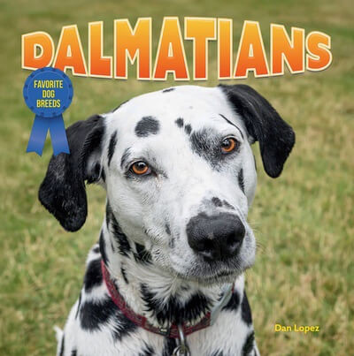 Dalmatians by Dan Lopez, 9781978576605