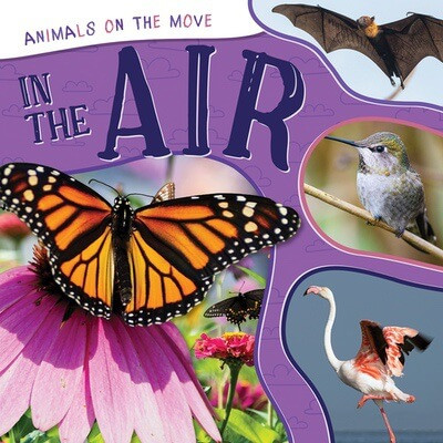 In the Air by Eliza Nodes, 9781499455816