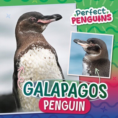 Galapagos Penguin - 9781978547407 by Bethany Latham, 9781978547407