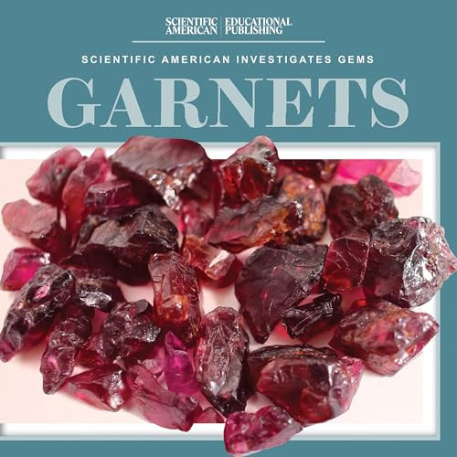 Garnets - 9781538313824 by Beth Gottlieb