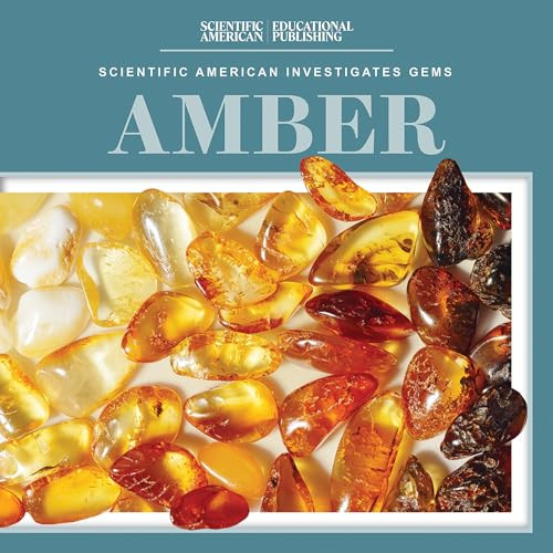 Amber - 9781538313725 by Beth Gottlieb