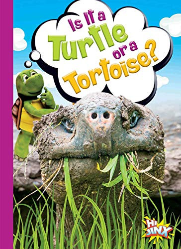 Is It a Turtle or a Tortoise? by Gail Terp, 9781644660577