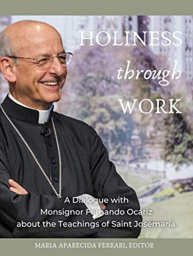 Holiness Through Work by Fernando Ocariz, 9781594173738