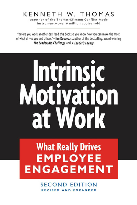 Intrinsic Motivation at Work (Building Energy and Commitment) by Kenneth W. Thomas, 9781576755679