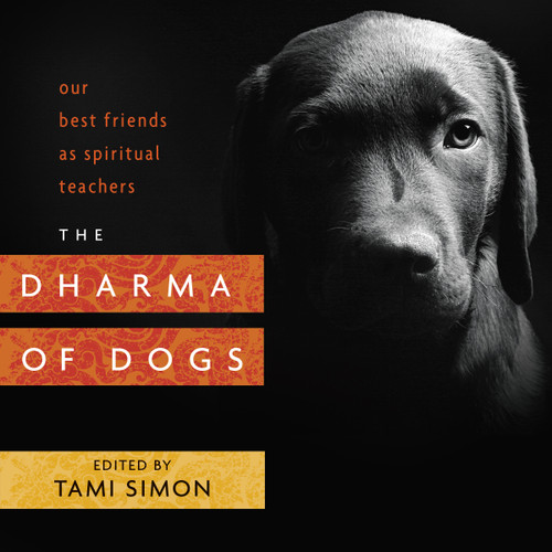 The Dharma of Dogs (Our Best Friends as Spiritual Teachers) by Tami Simon, 9781622037414